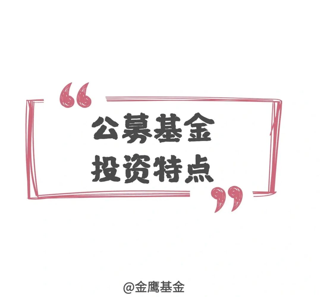_公募基金基础知识_最牛公募基金经理