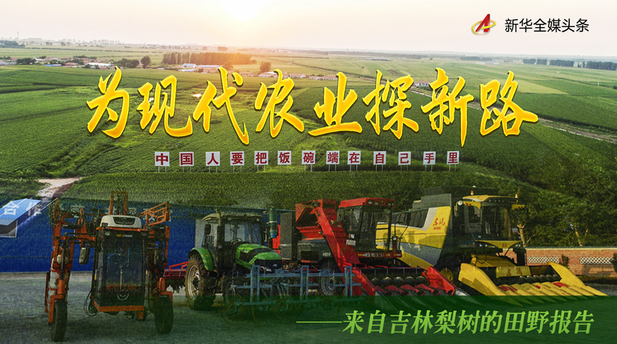 粮食产业助力乡村振兴大有可为__粮食生产乡村振兴标语
