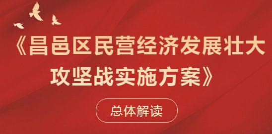 _促进民营经济发展政策_促进民营经济的意见
