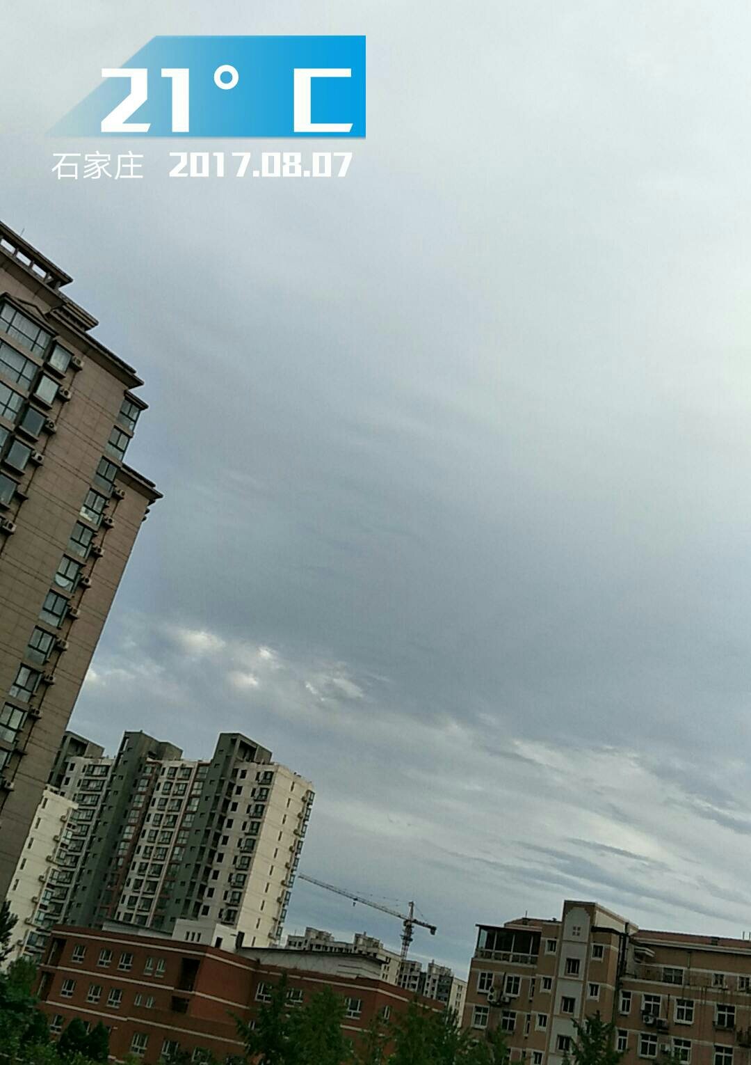 新宝城早茶时间_夏湾新海利喝早茶时间_