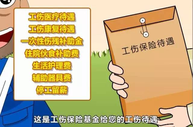 _保险管理办法_保险管理部门