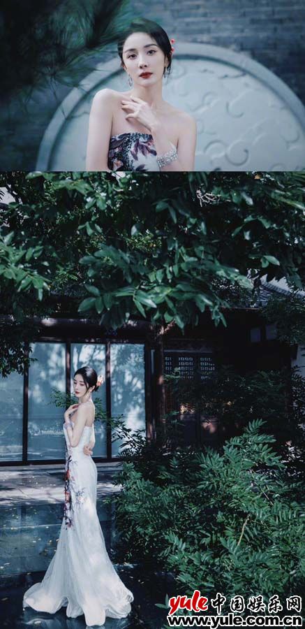 杨幂大牌生日会现场照__杨幂生日海报