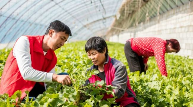 涉农高校应以立德树人为根本以强农兴农为己任