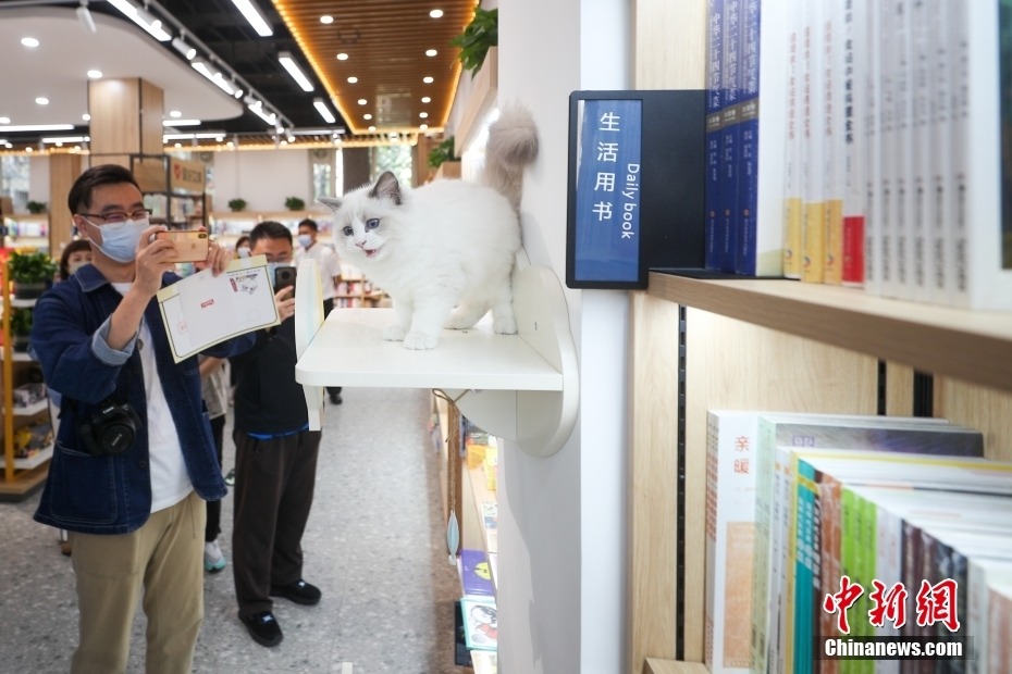淘宝店铺客服设置接待__媒体接待用语