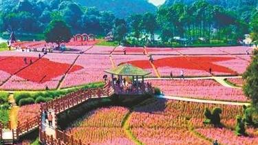 _加沙地带属于哪个国家_以色列150枚火箭弹