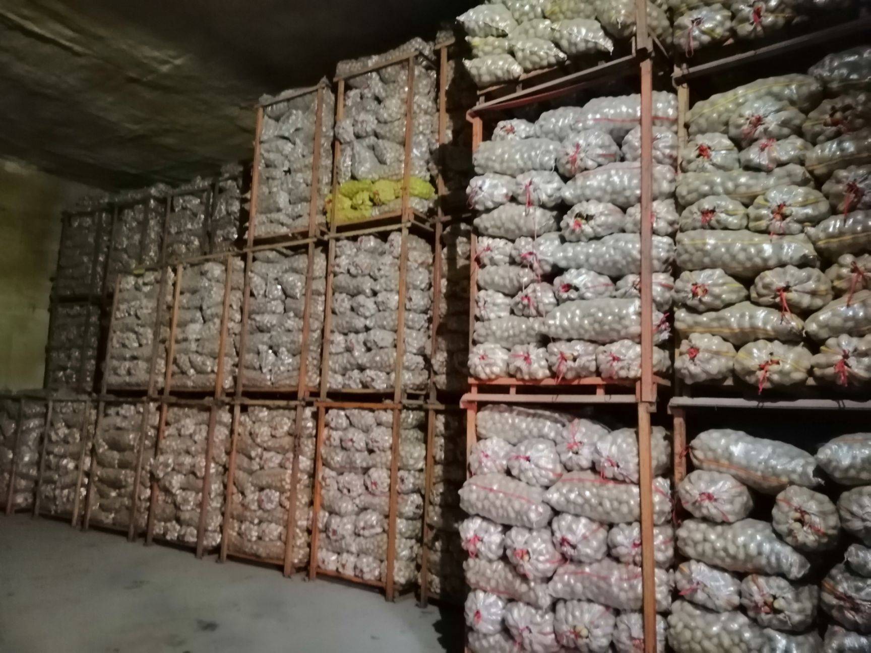 _农视网下载_农视网主持人黄莉