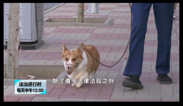 文书裁判网app_中国文书法律裁判网_