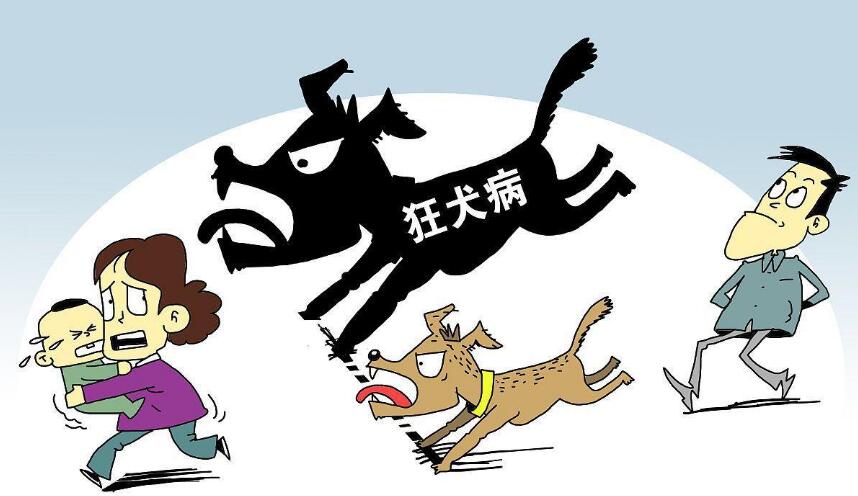 中国文书法律裁判网_文书裁判网app_