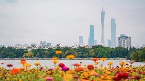 17:54报名启动！广州海珠湿地徒步大会将于下月11日启动