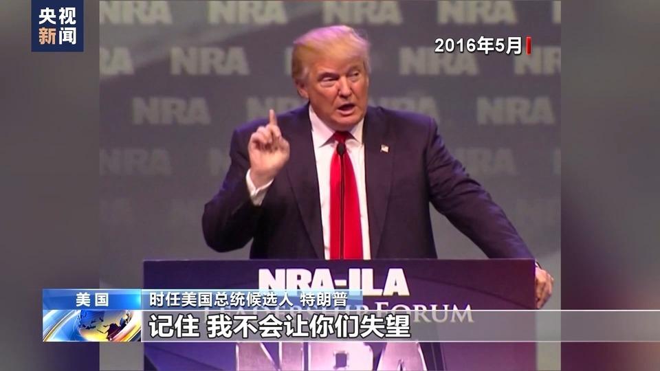 暴力枪长什么样__枪支暴力的解决方案