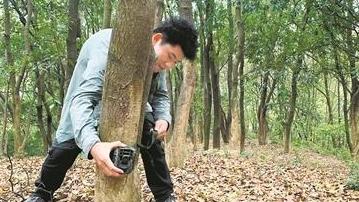 巴方称以军向加沙难民营发射白磷弹 以方暂无回应_巴方称以军向加沙难民营发射白磷弹 以方暂无回应_