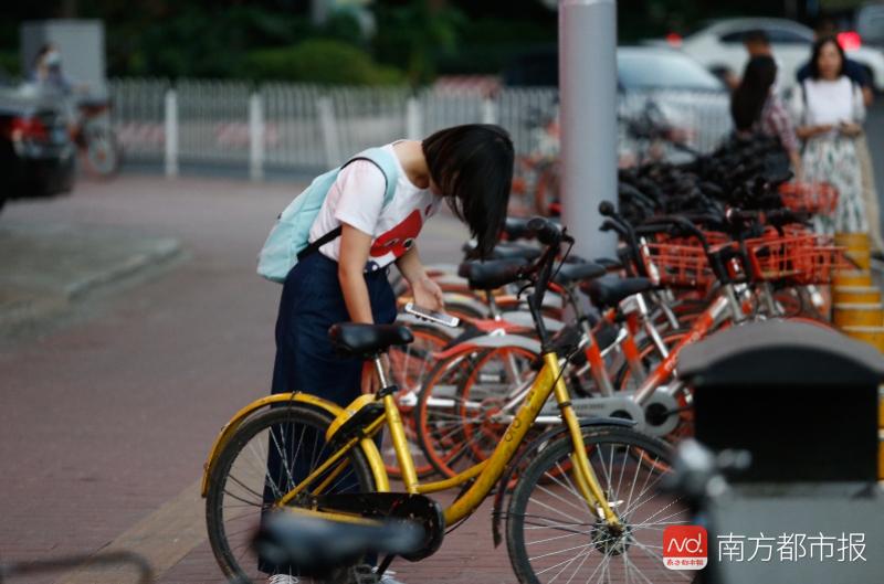 广州日报大洋网是属于国企吗__大洋网广州日报头版