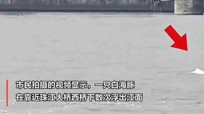 广州日报大洋网是属于国企吗__大洋网广州日报手机版每日闲情