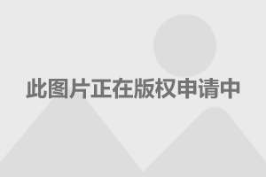 2022全新普拉多_新一代普拉多谍照_