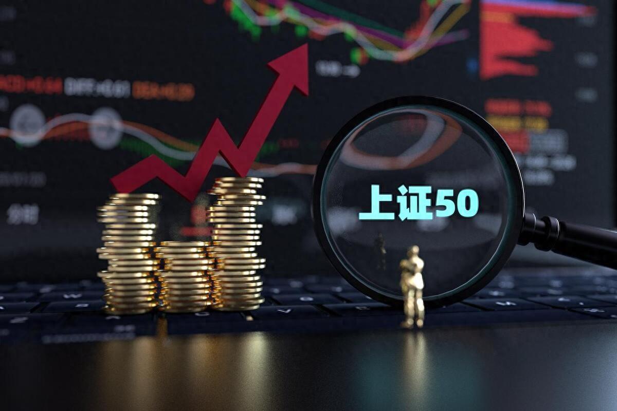 宽基ETF“抄底”布局 2月份资金净流入额达去年第四季度近两倍__宽基ETF“抄底”布局 2月份资金净流入额达去年第四季度近两倍