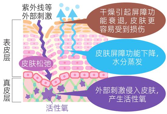 _改善皮肤干燥的护肤品_皮肤干燥保湿补水