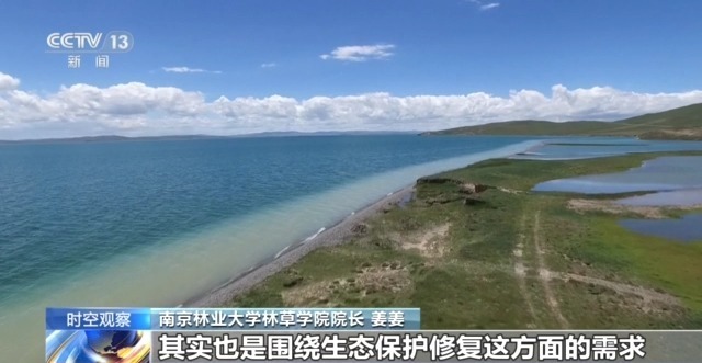_战略新兴专业_高校战略发展规划
