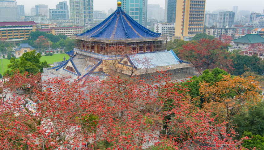 _首尔公交车站_韩国首尔公交车线路图中文